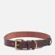 Barbour Wax/Leather Dog Collar - Olive - L