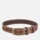 Barbour Leather Dog Collar - Brown - L