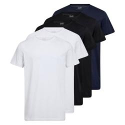 Claudio 5P Cotton T-Shirt Flerfärgad bomull Medium Herr
