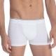 Calida Kalsonger Pure and Style Boxer Brief Vit bomull Small Herr