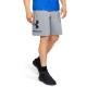 Under Armour Sportstyle Cotton Graphic Shorts Grå Large Herr
