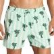 Björn Borg Badbyxor Sylvester Swim Shorts Ljusgrön polyester Small Herr