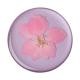 Popsockets Pressed Flower Delphinium Avtagbart Grip Med Ställfunktion Premium