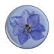 Popsockets Pressed Flower Larkspur Avtagbart Grip Med Ställfunktion Premium