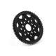 Spur Gear 81 Tooth