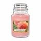 Yankee Candle Classic Large Jar Sun-Drenched Apricot Rose 623g