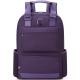 Delsey Paris Legere Laptop 15,6´ Backpack Purple