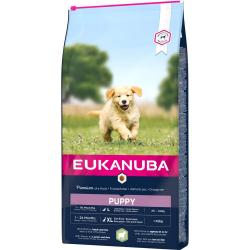 Eukanuba Puppy Large Breed Lamb & Rice (12 kg)