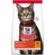 Hill's Science Plan Cat Adult Chicken (15 kg)