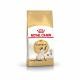 Royal Canin Cat Adult Siamese (2 kg)