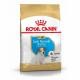 Royal Canin Jack Russell Puppy (1,5 kg)