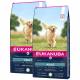 Eukanuba Adult Large Breed Lamb&Rice 2 x 12 kg