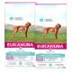 Eukanuba Daily Care Puppy Sensitive Digestion 2 x 12kg
