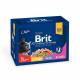 Brit Premium Multipack Fisk & Kött Bitar i Sås 12x100 g