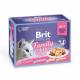 Brit Premium Pouches Fillets in Jelly Family Plate (12x85g)