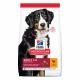 Hill's Science Plan Dog Adult Large Breed Chicken (18 kg)