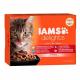 Iams Delights Multipack Land & Sea Collection in Gravy 48x85 g
