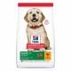 Hill's Science Plan Puppy Large Breed Chicken (14,5kg)